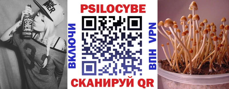 KRAKEN   Тимашёвск  shop клад  где можно купить   Псилоцибиновые грибы мухоморы 